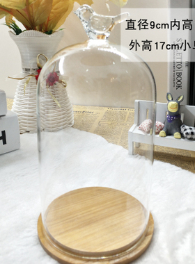 定制diy玻璃微景观办公永生花