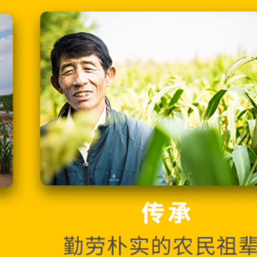 Inner Mongolia Mengqing specialty fragrant rice 500g miscellaneous grains