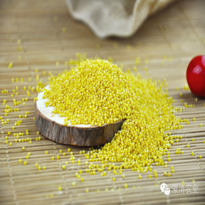 Inner Mongolia Mengqing specialty fragrant rice 500g miscellaneous grains