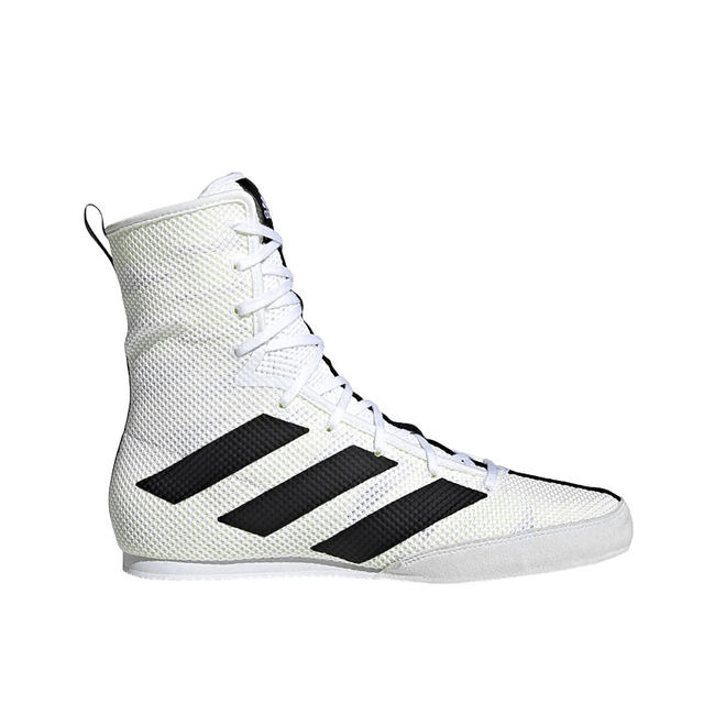 fighting shoes boxing