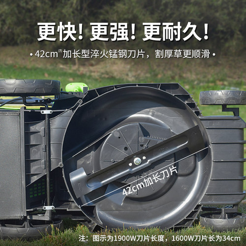 锂电电动割草机家用小型除草机托马斯打草机大功率手推草坪修剪机 - 图0