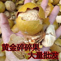 Gold Grosvenori Flag Ship Store Broken Fruit Guangxi Guilin Yongfu Special production commercial Chinese herbal medicine Dispensary Brine