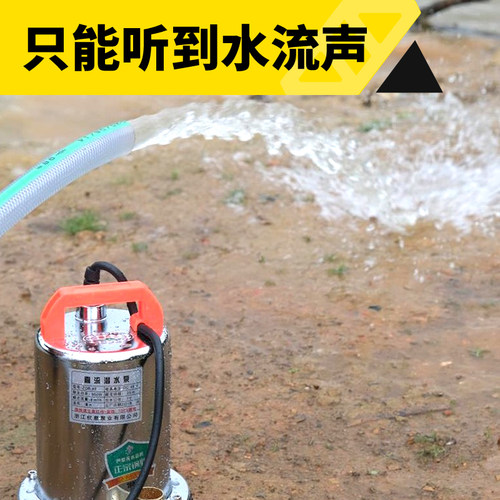 直流潜水泵12v 高扬程大流量电动车小型农田24v48v60v家用全铜1寸 - 图0