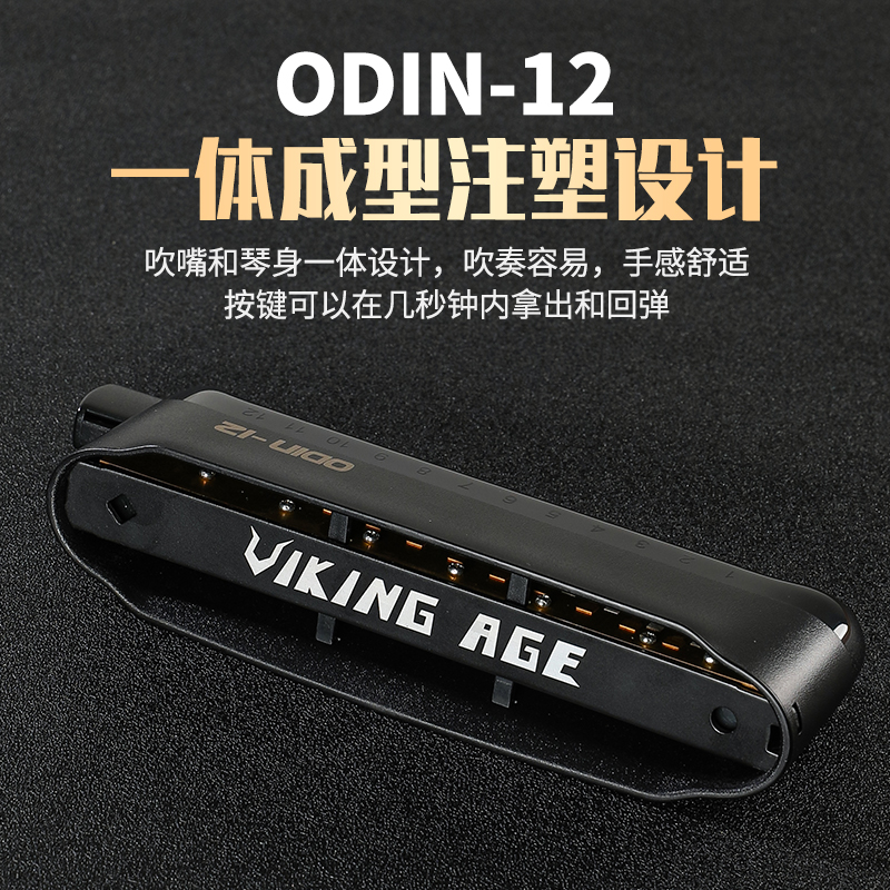 VIKING AGE专业演奏奥丁odin12孔48音半音阶口琴新手初学入门学生 - 图1