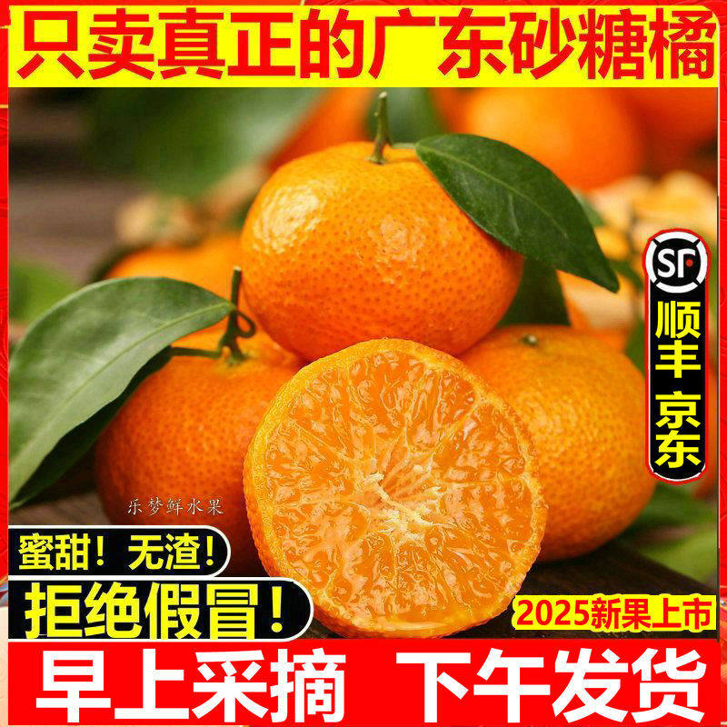 正宗四会砂糖橘新鲜广东德庆沙糖桔子当季蜜柑沃橘纯甜9斤顺丰,淘宝优惠券,粉丝福利购,淘宝优惠卷