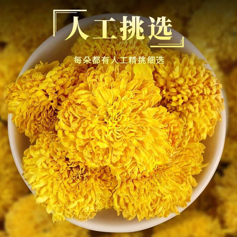 茗愿菊花茶婺源徽州皇菊金丝黄菊球形一朵一杯非特级头采大花花茶