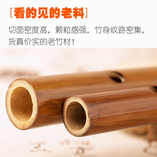 便携式小型随身乐器迷你横笛初学短笛子袖珍竹笛小降b小c调无膜孔 - 图0