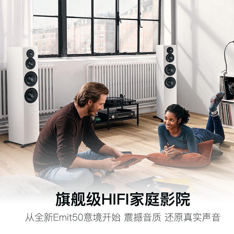 Dynaudio/丹拿新意境系列 New Emit 50 HiFi落地音箱无源发烧音箱-图0