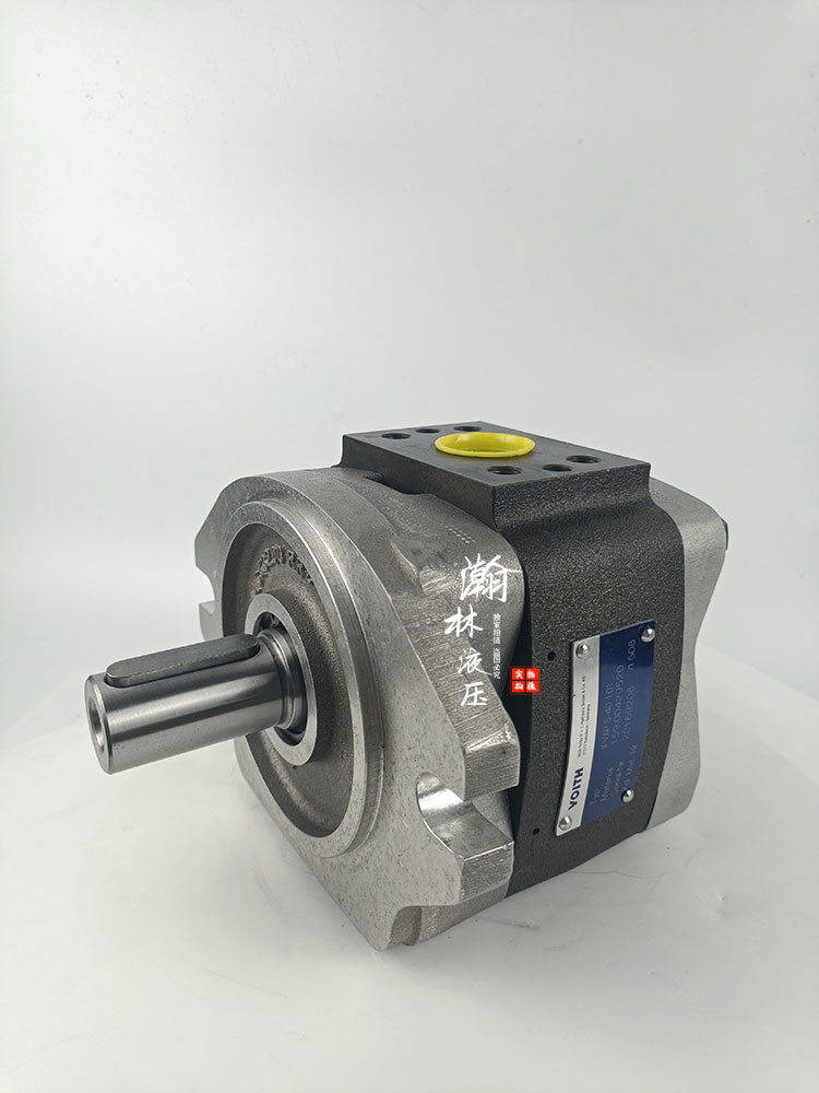 原装德国voith福伊特IPVAP5-40 101注塑机伺服齿轮泵压铸机泵 - 图1