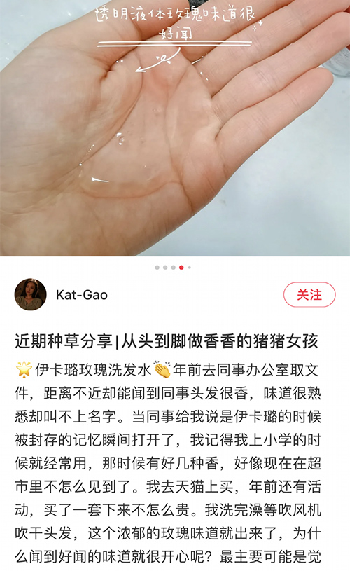 甜甜玫瑰香 美国伊卡璐玫瑰洗发水 控油洗发露无硅油香味持久留香