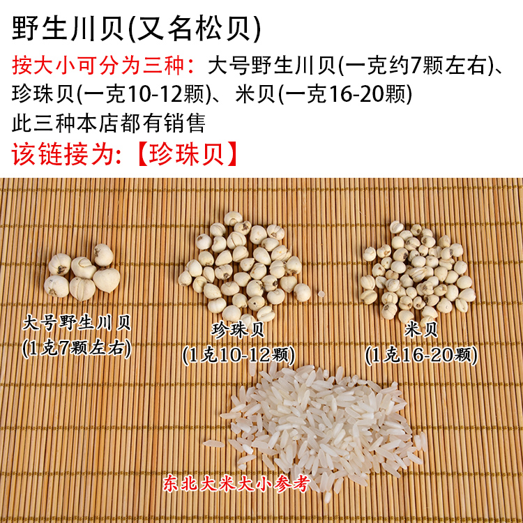 四川阿坝正宗野生川贝母30克正品中药珍珠贝尖贝精选松贝无硫 - 图2