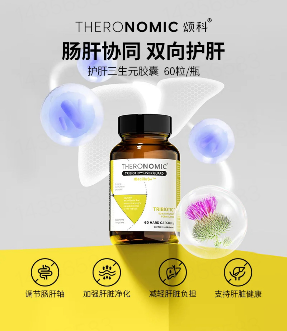 澳洲TheroNomic颂科护肝三生元益生菌胶囊60粒/瓶 双向护肝奶蓟草