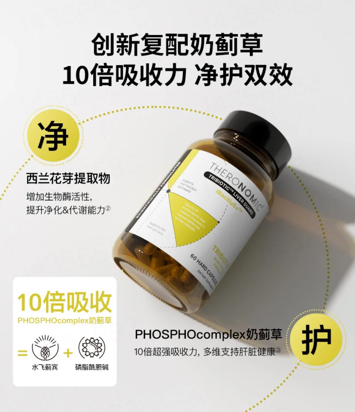 澳洲TheroNomic颂科护肝三生元益生菌胶囊60粒/瓶 双向护肝奶蓟草