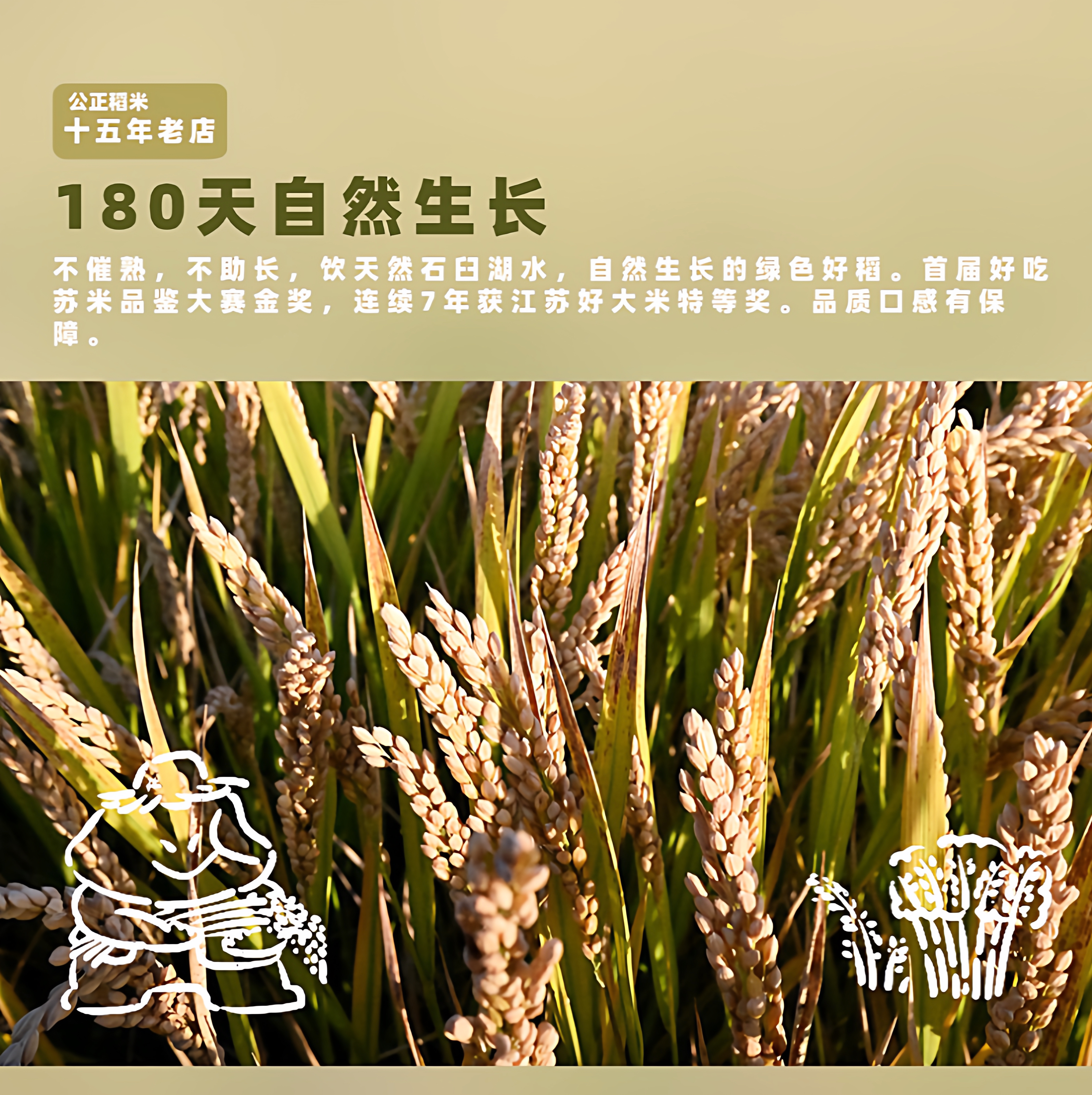 公正稻米南粳46大米米香软糯2斤香圆粒煮粥蒸饭农垦粳米一级便携