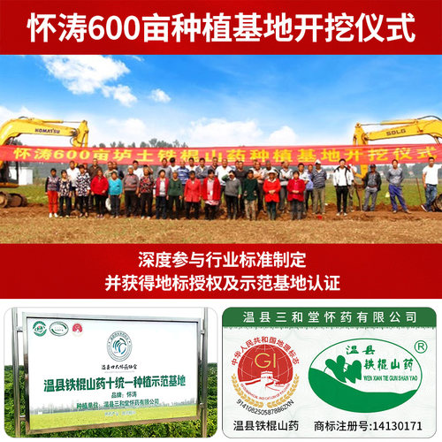 河南焦作温县垆土铁棍山药官方旗舰店正宗垆土怀山淮山药新鲜5斤 - 图1