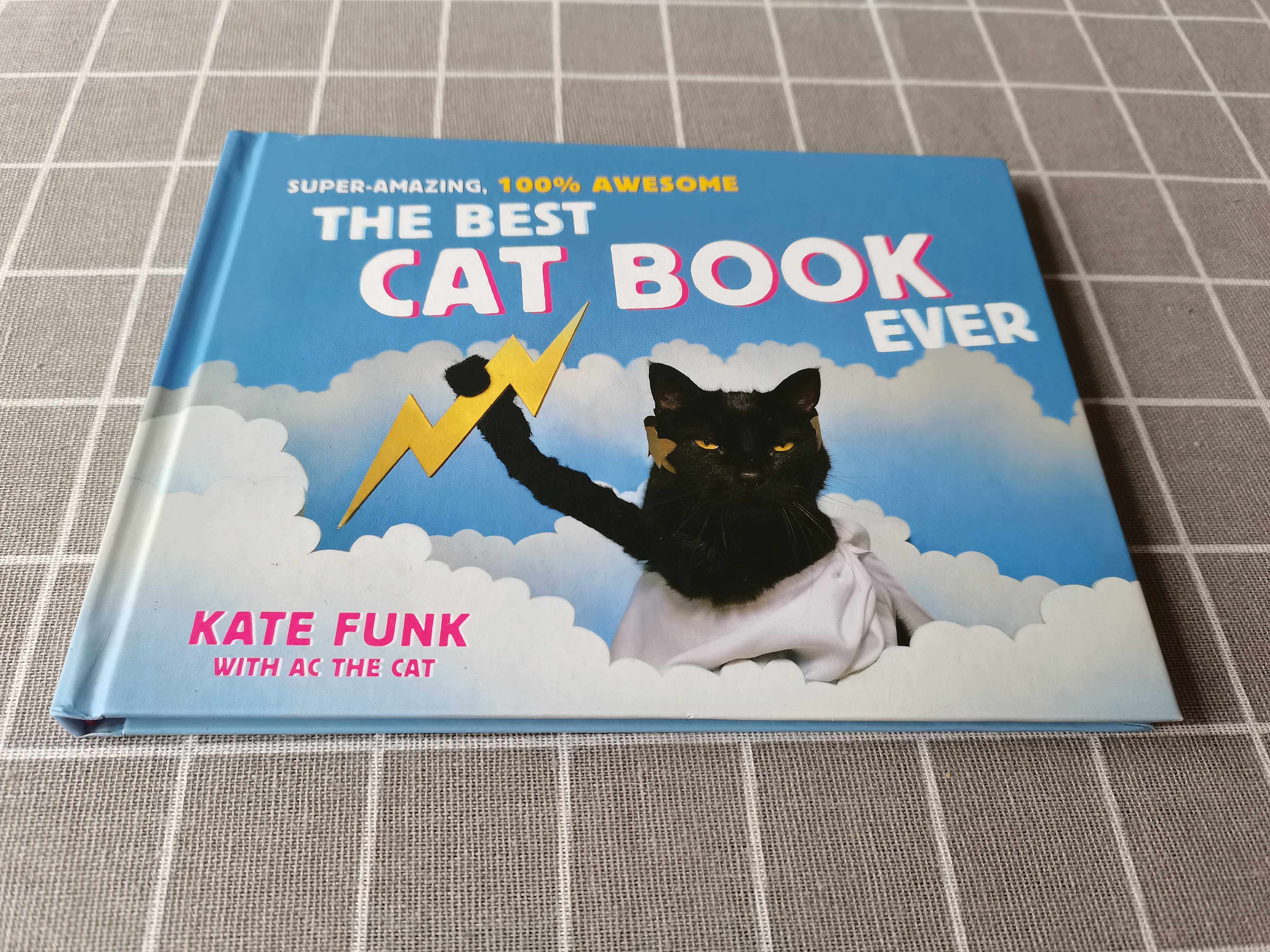 宠物猫英文 新人首单立减十元 21年7月 淘宝海外