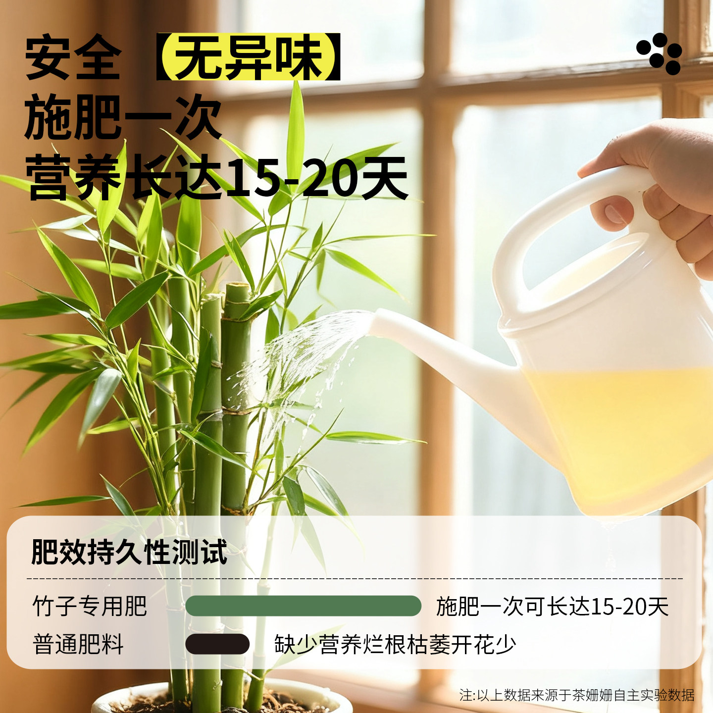 竹子专用营养液治叶子发黄盆栽室内水培文昌观音竹黄叶变绿叶肥料,淘宝优惠券,粉丝福利购,淘宝优惠卷