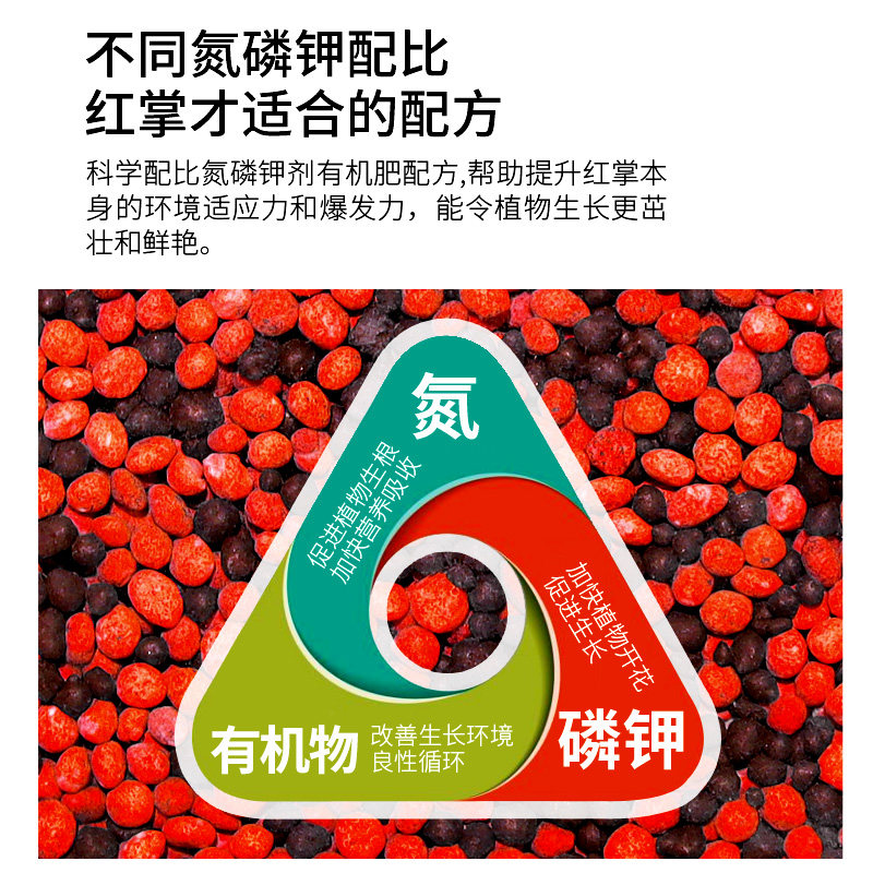 红掌专用肥料磷钾肥花肥磷酸二氢钾花卉家用盆栽通用型三元复合肥,淘宝优惠券,粉丝福利购,淘宝优惠卷