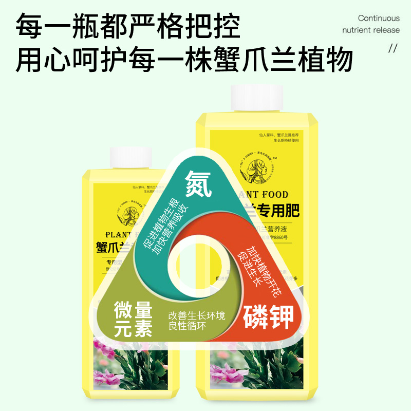 蟹爪兰专用肥多肉营养液爆芽肥料养花植物通用型家用蟹脚兰怎么养-图1