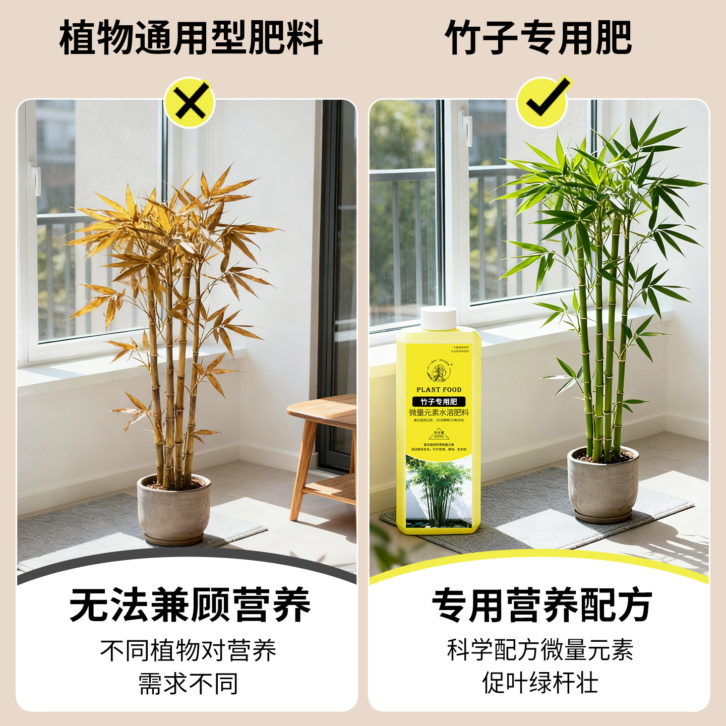 竹子专用营养液治叶子发黄盆栽室内水培文昌观音竹黄叶变绿叶肥料,淘宝优惠券,粉丝福利购,淘宝优惠卷