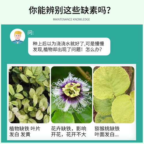 螯合铁肥水草铁肥有机复合叶面肥果树专用黄叶病氨基酸螯合铁肥料 - 图0