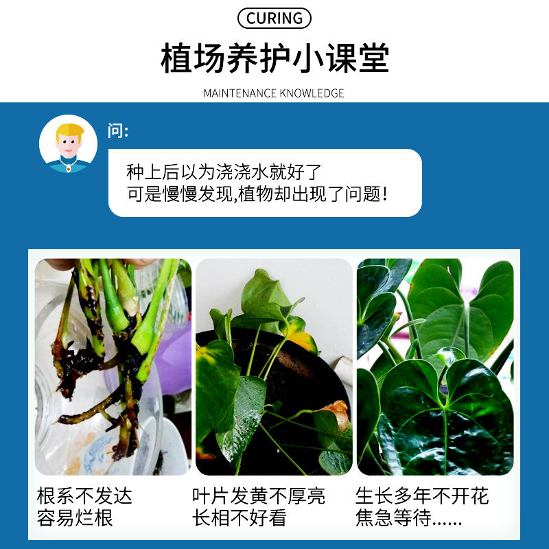 红掌专用肥料磷钾肥花肥磷酸二氢钾花卉家用盆栽通用型三元复合肥,淘宝优惠券,粉丝福利购,淘宝优惠卷