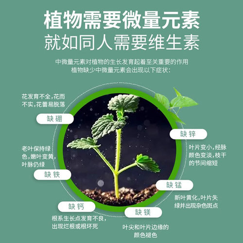 三角梅开花专用肥爆花促花施肥磷酸二氢钾肥料花卉专用颗粒缓释肥 - 图2