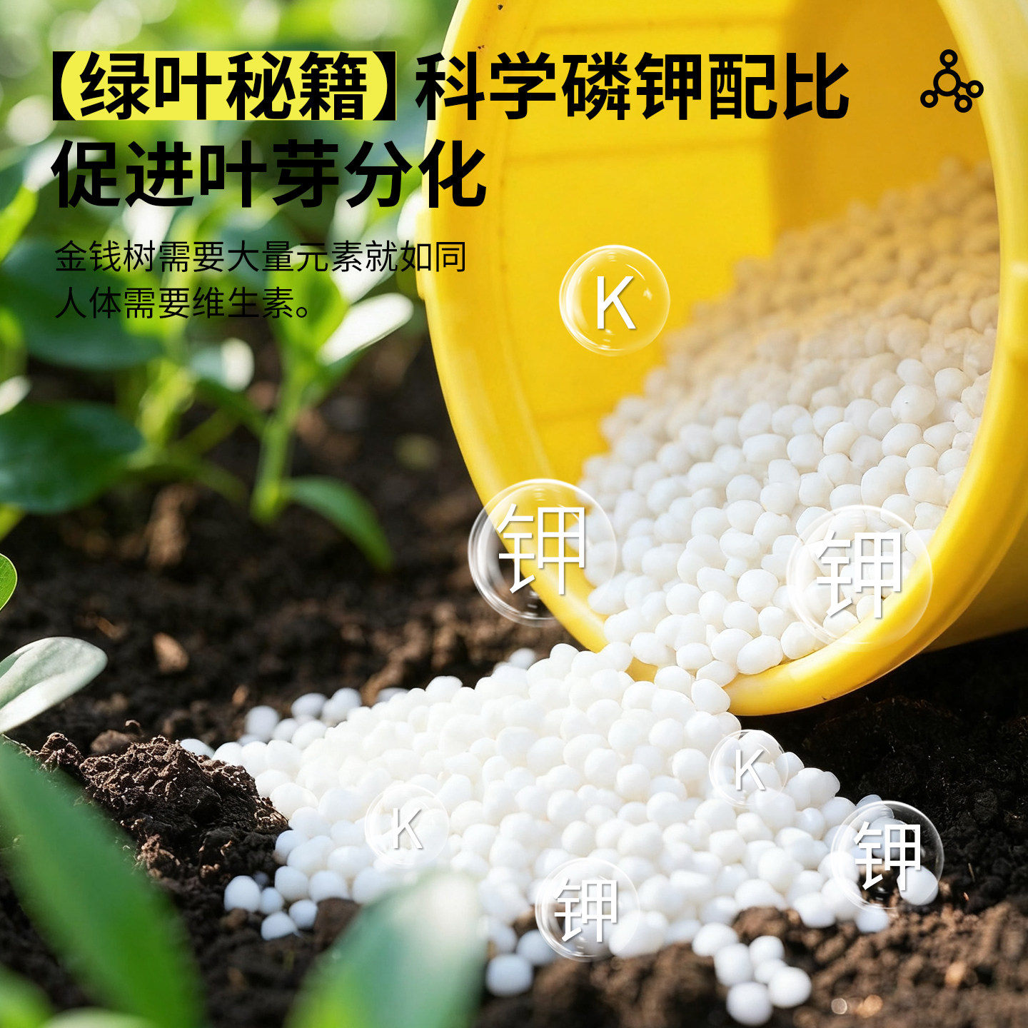 金钱树专用肥钱串子氮磷钾三元复合肥颗粒缓释肥花肥通用养花肥料,淘宝优惠券,粉丝福利购,淘宝优惠卷