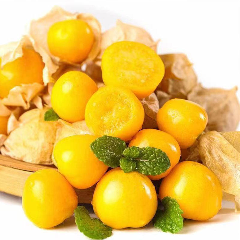 东北黄菇娘果新鲜灯笼果农家小园自种姑娘果香甜皮薄肉厚的菇娘果,淘宝优惠券,粉丝福利购,淘宝优惠卷