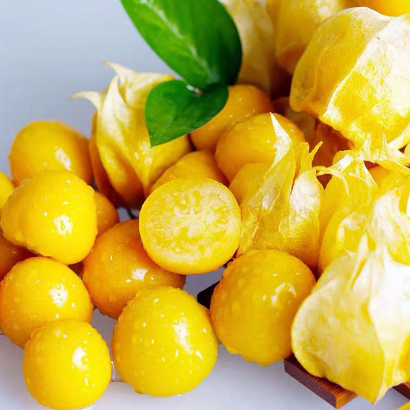 东北黄菇娘果新鲜灯笼果农家小园自种姑娘果香甜皮薄肉厚的菇娘果,淘宝优惠券,粉丝福利购,淘宝优惠卷