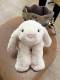 Baibu British Jellycat Smudge Rabbit Plush