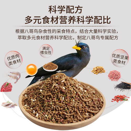 开元全价八哥鸟食饲料林八哥鸟粮黑八海八哥鹩哥营养专用鸟料食料 - 图2