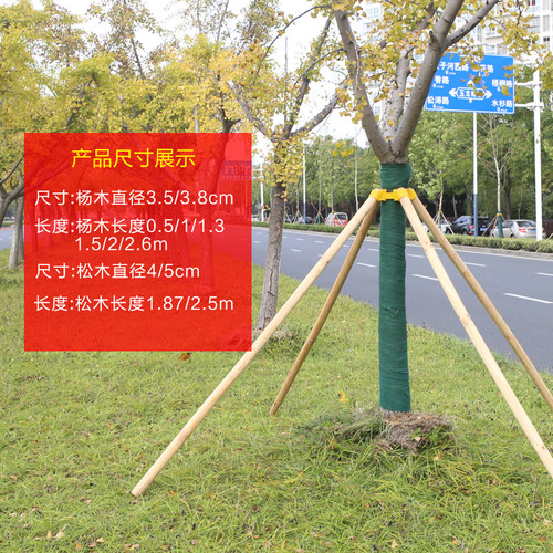 树木支撑固定器套装支撑架杆杉木松木杨木棍园林绿化稳定支架防风 - 图2