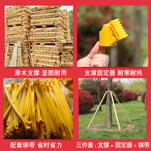 树木支撑架固定器大树支撑架套杯园林绿化工具支撑杆防风固定支架 - 图2