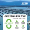溢源海带干货海带头非特级特厚昆布商用海带丝煲汤凉拌日晒干海带 图片 4