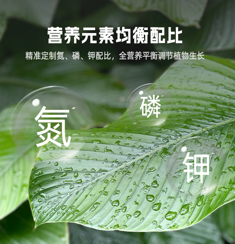 植物营养液通用型花卉水培绿萝富贵竹绿植盆栽发财树专用液体肥料 - 图2