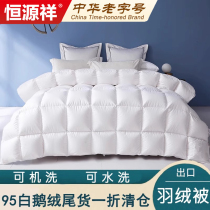 Hengyuan Xiang 95 White goose down down to be thickened Spring autumn quilted by warm autumn and winter quilt by coveted duck suede