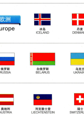 世界各国国旗海报 中英文 中文版墙贴 超大巨幅 装饰画