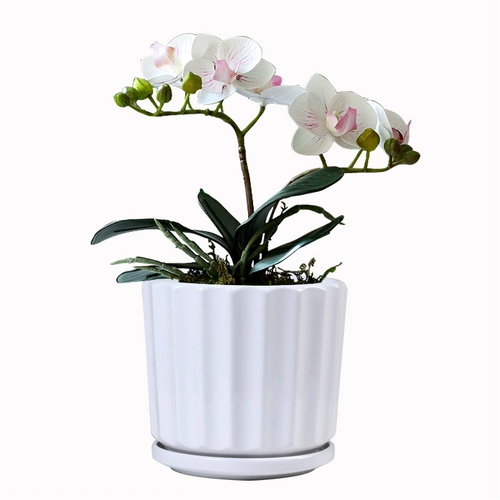 Цветочный горшок керамический белый минималистский специальное предложение четкое склад большой средний поддон личность дома зеленый укроп