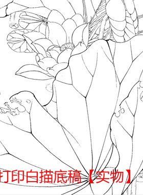 工笔画打印白描底稿竖幅四尺线描