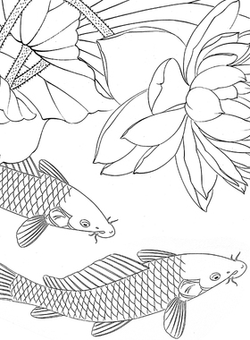 工笔画打印白描底稿郑玲玲牡丹鱼荷花鱼有步骤图初学者临摹勾线