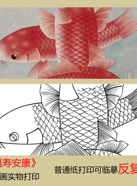 工笔画底稿福寿安康鲤鱼跃龙门白描线稿实物打印初学者临摹练习