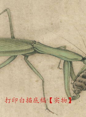 工笔画打印白描底稿宋画斗方小品草虫图初学者临摹练习过稿线描