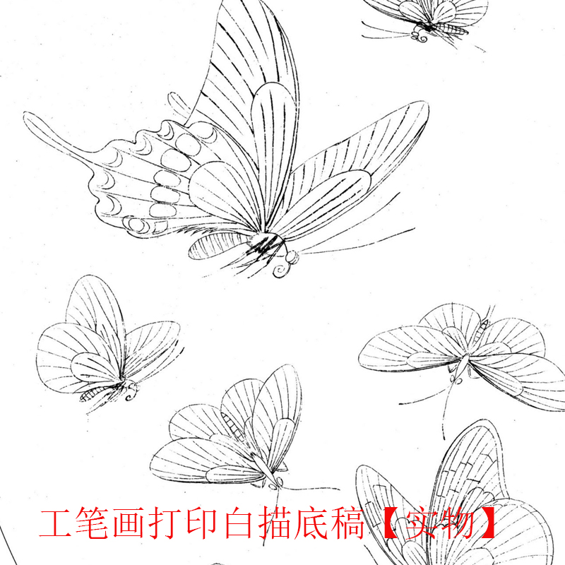 工笔画打印底稿宋画《晴春戏蝶图》临摹初学者线描宣纸过稿素材 - 图3