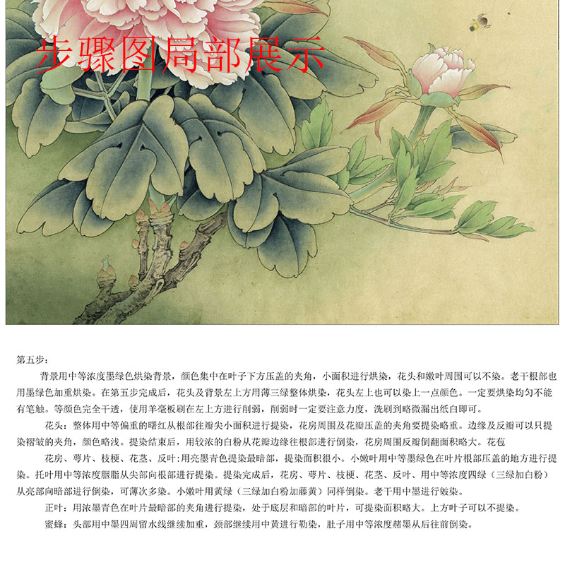 有步骤工笔画打印白描底稿李晓明斗方小品牡丹花鸟初学者临摹练习 - 图0