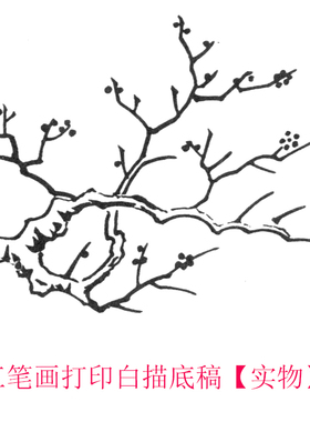 工笔画打印白描底稿宋 《乌柏文禽图》.临摹初学者线描过稿素材