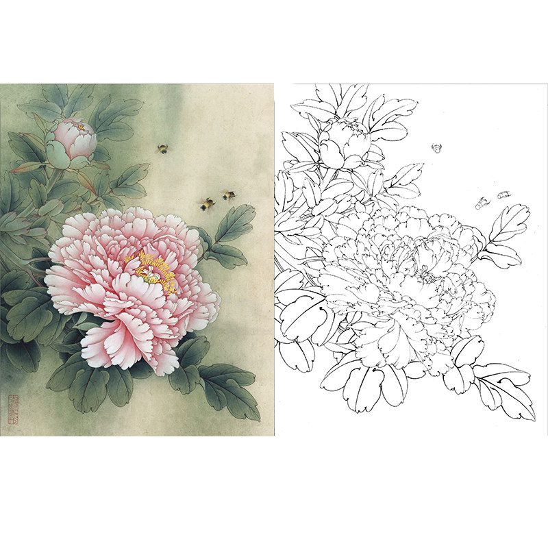 工笔画打印白描底稿牡丹小品6幅一套有步骤图初学者临摹勾线练习,淘宝优惠券,粉丝福利购,淘宝优惠卷