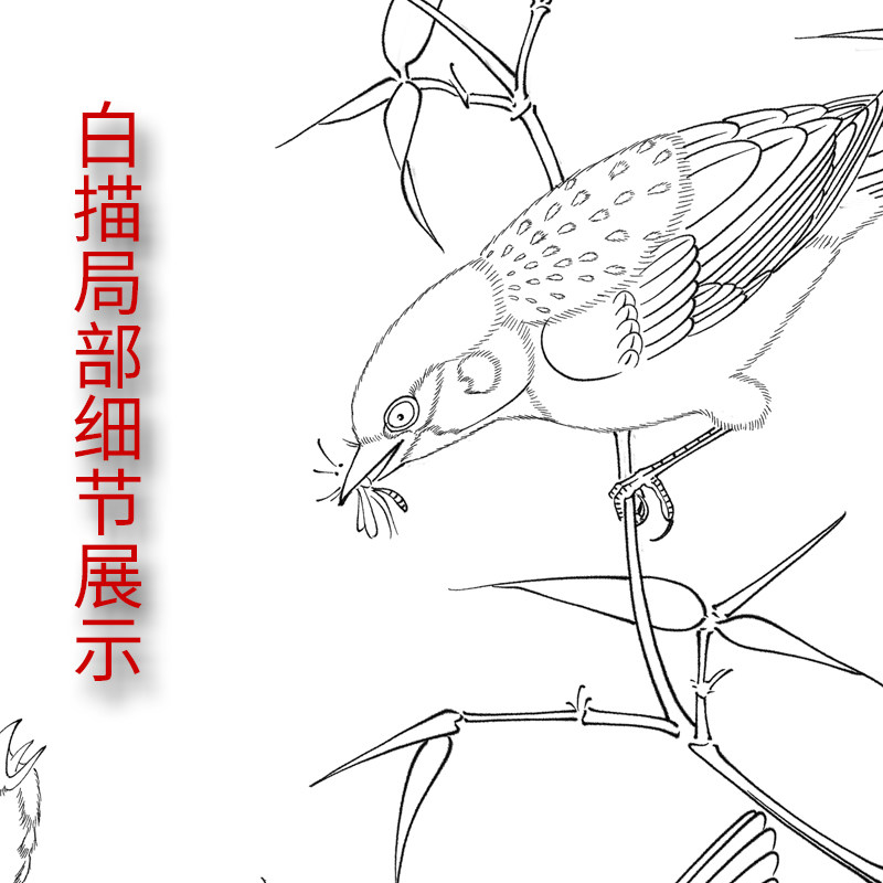 工笔画打印白描底稿宋画精品系列三花鸟 临摹初学者线描过稿素材,淘宝优惠券,粉丝福利购,淘宝优惠卷
