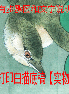 国画工笔打印白描底稿牡丹临摹
