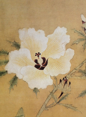 工笔画打印白描底稿宋画《 秋葵图 》临摹初学者线描过稿素材
